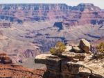 Grand Canyon Stock Photo