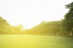 Blurred Image Of Green Park Scenery Stock Photo