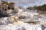 Mammoth Hot Springs Stock Photo