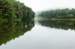 Nature Landscape At Dawn Of Lakes And Pine Forests Stock Photo