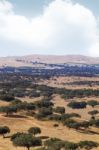 Alentejo Landscape Stock Photo