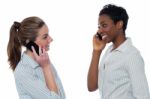 Young Business Women Communicating Stock Photo