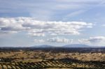 Alentejo Landscape Stock Photo