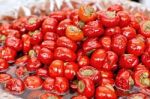 Italian Stuffed Tomatoes Stock Photo