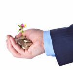 Young Sprout With Flower Grows From A Heap Of British Pound Ster Stock Photo