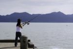 Fisherman Fishing Trolling In The Sea Stock Photo