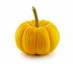 Yellow Pumpkin Stock Photo