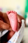 Hands Hold Baby Newborn Foot Stock Photo