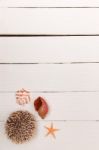 Starfish On White Wood Stock Photo