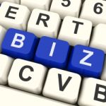 Biz Keys Show Online Or Internet Business Stock Photo