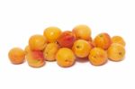 Armenian Plums (prunus Armeniaca) Stock Photo