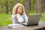 Business Lady Using Laptop In Park Stock Photo