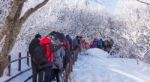 Deogyusan,korea - January 23: Tourists Taking Photos Of The Beautiful Scenery Around Deogyusan,south Korea On January 23, 2015 Stock Photo