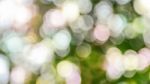 Natural Bokeh Blur. Abstract Nature Background Stock Photo