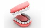 Denture Stock Photo