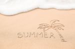 Inscription Of The Word Summer And Palm Tree Drawing On Wet Yell Stock Photo