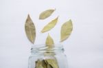 Dried Bay Leaves In Glass Jar On White Wooden Background Stock Photo