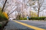 Seoul,korea - April 11 : Cherry Blossom In Seoul Tower Namhansan. Tourists Taking Photos Of The Beautiful Scenery Around Seoul Tower Namhansan In Seoul,korea On April 11,2015 Stock Photo