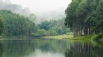 Nature Landscape At Morning Of Lakes And Pine Forests Stock Photo