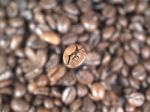 Coffee Beans Stock Photo