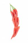 Red Chillies Stock Photo