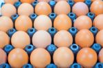 Eggs Chicken For Eat Stock Photo