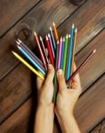 Set Of Colored Pencils In Female Hands On A Background Of Dark W Stock Photo