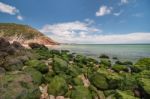 Isolated Beach Stock Photo