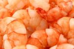 Tiger Prawns Stock Photo