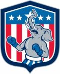 Republican Elephant Boxer Mascot Shield Cartoon Stock Photo