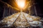 Tree Tunnel Railway In City Stock Photo