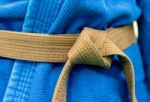 Brown Belt Stock Photo