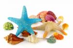 Seashell And Starfish Isolated On White Background Stock Photo