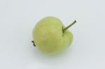 Guava Stock Photo