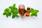 Natural Mint Essential Oil In A Glass Bottle With Fresh Mint Lea Stock Photo