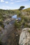 Beautiful Spring View Of A Countryside Stream Of Water Located In Portugal Stock Photo