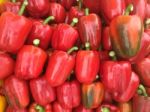 Paprika Background Stock Photo