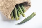 Healthy Okra Chips On Clean Background Stock Photo