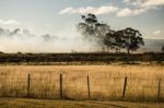 Bush Fire In A Country Town Stock Photo