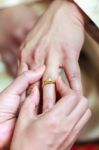 Bride Wearing Ring On Groom's Finger Stock Photo