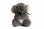 Koala Doll Stock Photo