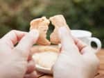 Woman's Hand Holding  Cashew Cookies Stock Photo