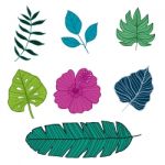 Set Of Botanical  Illustrations,  Illustration Stock Photo