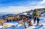 Deogyusan,korea - January 1: Tourists Taking Photos Of The Beautiful Scenery And Skiing Around Deogyusan,south Korea On January 1, 2016 Stock Photo