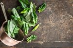 Spinach In The Copper Pt On The Metal Background Top View Stock Photo