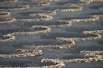 Lanzarote, Canary Islands/spain - August 8 : Wind Defences To Pr Stock Photo