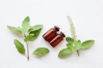 Holy Basil Essential Oil With  Fresh Leaves Stock Photo