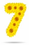 Number 7 Made Of Sunflower  Stock Photo