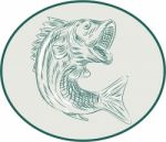 Largemouth Bass Fish Oval Etching Stock Photo