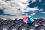 Leader Holding Multiple Color Umbrella Stock Photo